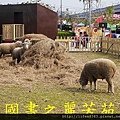 2015 台灣燈會---台中烏日高鐵站 (1110).jpg