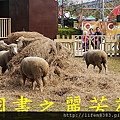 2015 台灣燈會---台中烏日高鐵站 (1112).jpg