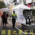 2015 台灣燈會---豐原廟東篇 (178).jpg