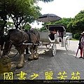 飛牛牧場---20150621 (131).jpg