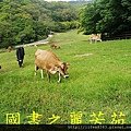 飛牛牧場---20150621 (168).jpg