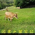 飛牛牧場---20150621 (169).jpg