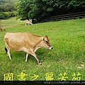 飛牛牧場---20150621 (170).jpg