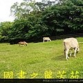 飛牛牧場---20150621 (177).jpg