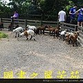 飛牛牧場---20150621 (217).jpg