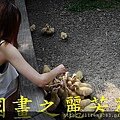 飛牛牧場---20150621 (224).jpg