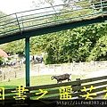 飛牛牧場---20150621 (237).jpg