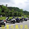 候硐車站賞貓-20150626 (135).jpg