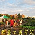 2015 桃園花彩節---平鎮和中壢區 (27).jpg