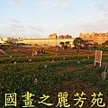 2015 桃園花彩節---平鎮和中壢區 (57).jpg