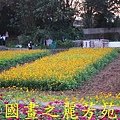 2015 桃園花彩節---平鎮和中壢區 (55).jpg