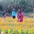 2015 桃園花彩節---平鎮和中壢區 (67).jpg