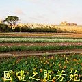 2015 桃園花彩節---平鎮和中壢區 (75).jpg