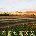 2015 桃園花彩節---平鎮和中壢區 (82).jpg