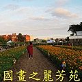 2015 桃園花彩節---平鎮和中壢區 (94).jpg