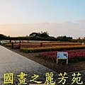 2015 桃園花彩節---平鎮和中壢區 (107).jpg