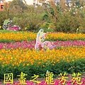 2015 桃園花彩節---平鎮和中壢區 (109).jpg