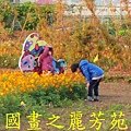 2015 桃園花彩節---平鎮和中壢區 (106).jpg