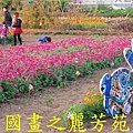 2015 桃園花彩節---平鎮和中壢區 (110).jpg