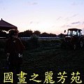 2015 桃園花彩節---平鎮和中壢區 (122).jpg