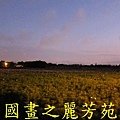 2015 桃園花彩節---平鎮和中壢區 (128).jpg