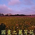 2015 桃園花彩節---平鎮和中壢區 (127).jpg