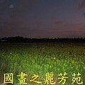 2015 桃園花彩節---平鎮和中壢區 (126).jpg