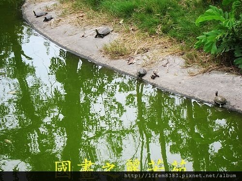 戀戀南台灣---頑皮世界 第一篇 (36).jpg