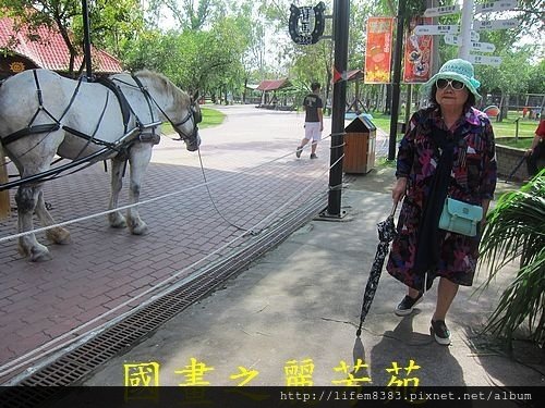 戀戀南台灣---頑皮世界 第一篇 (65).jpg