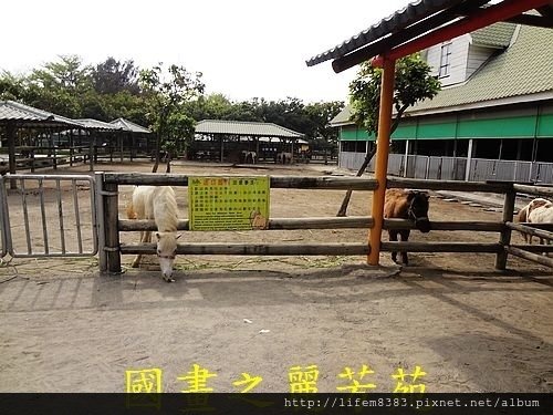 戀戀南台灣---頑皮世界 第二篇 (17).jpg