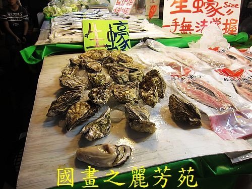 戀戀南台灣--- 嘉義布袋魚市  (36).jpg