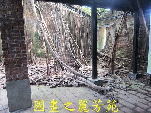 戀戀南台灣---安平樹屋 爆漿龍蝦 (78).jpg