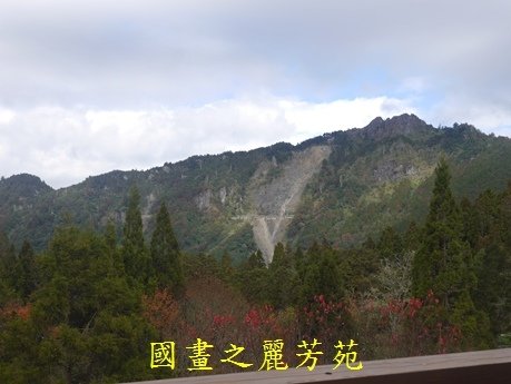 戀戀阿里山---20161222 (239).jpg