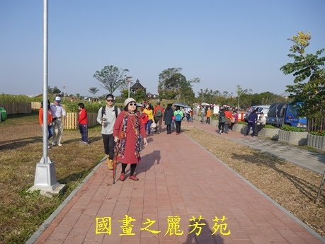 台中后里花毯節---20170101 (240).jpg