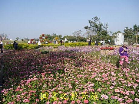 台中后里花毯節---20170101 (343).jpg