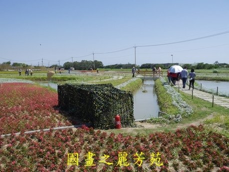 20170429---桃園農業博覽會 (174).jpg