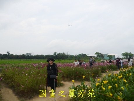 20170421---桃園彩芋節 (105).jpg