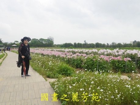 20170421---桃園彩芋節 (158).jpg