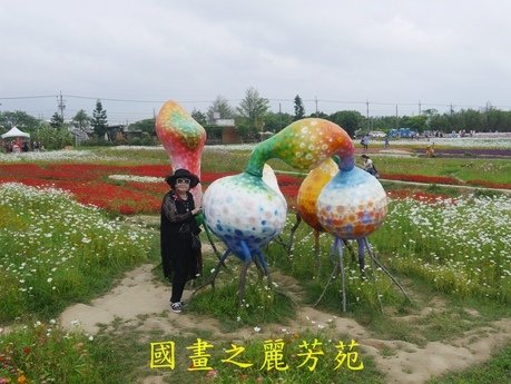 20170421---桃園彩芋節 (169).jpg