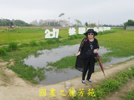 20170421---桃園彩芋節 (224).jpg