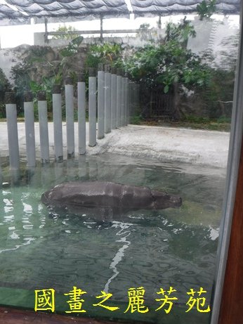 2018 壽山動物園 (50).jpg