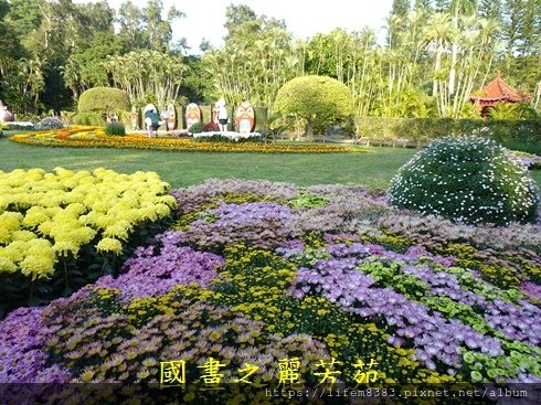 1071206 士林館底賞菊趣 (242).jpg