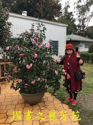 20180106-大溪一日遊 花開了 天御花園 (17).jpg