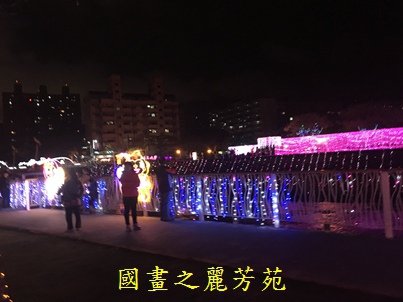 20190213桃園燈會 三民路 (37).jpg