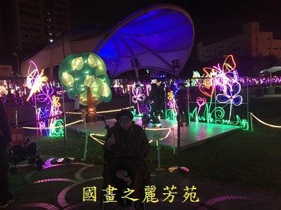 20190213桃園燈會 三民路 (42).jpg