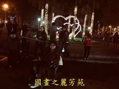 20190213桃園燈會 三民路 (61).jpg