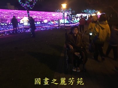 20190213桃園燈會 三民路 (117).jpg