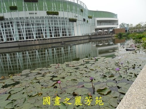 20190316---台中花博外埔園區 (275).jpg