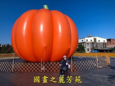 20191201---平鎮花彩節 (12).jpg