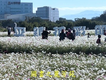 20191201---平鎮花彩節 (51).jpg